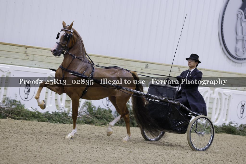 Proof Number 25R13_02835
