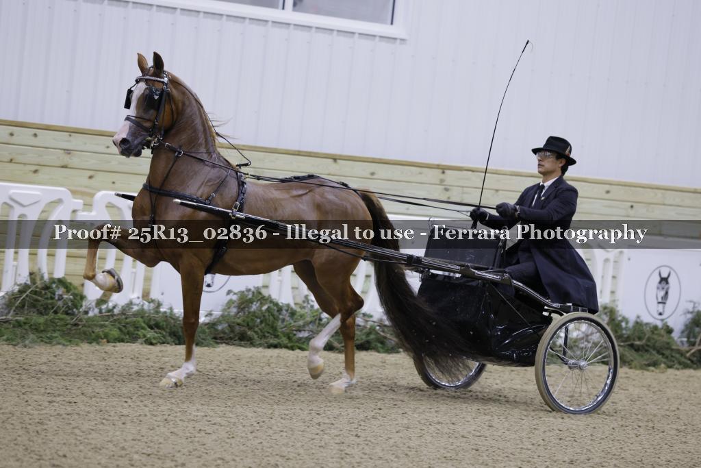 Proof Number 25R13_02836