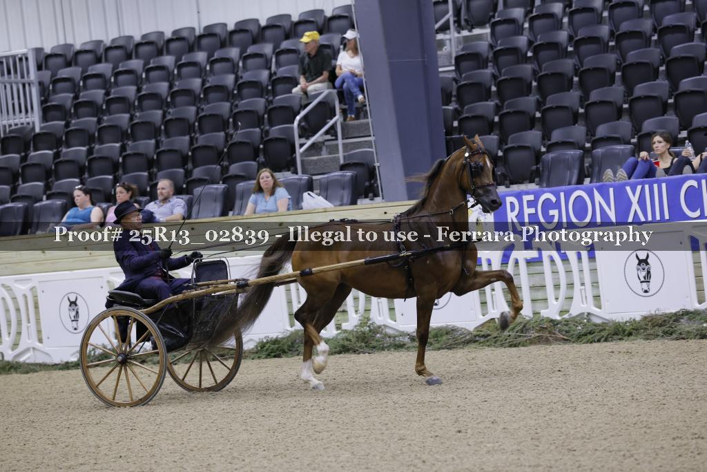 Proof Number 25R13_02839