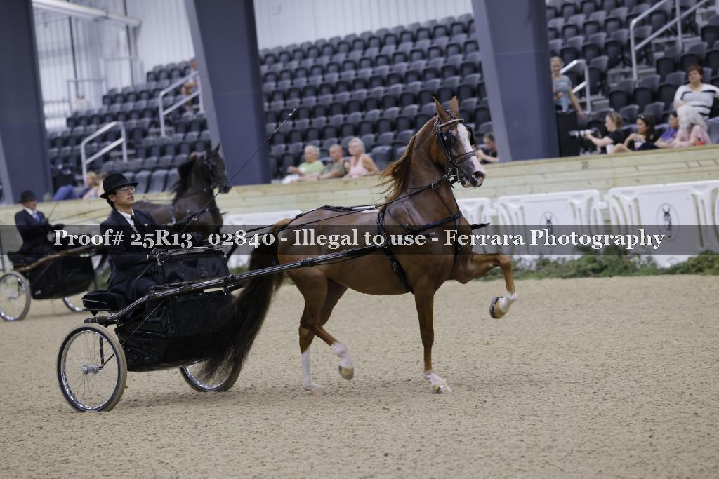 Proof Number 25R13_02840