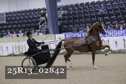 25R13_02842 thumbnail
