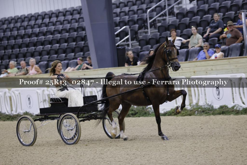 Proof Number 25R13_02847