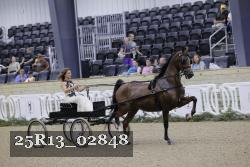 25R13_02848 thumbnail