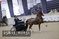 25R13_02851 thumbnail