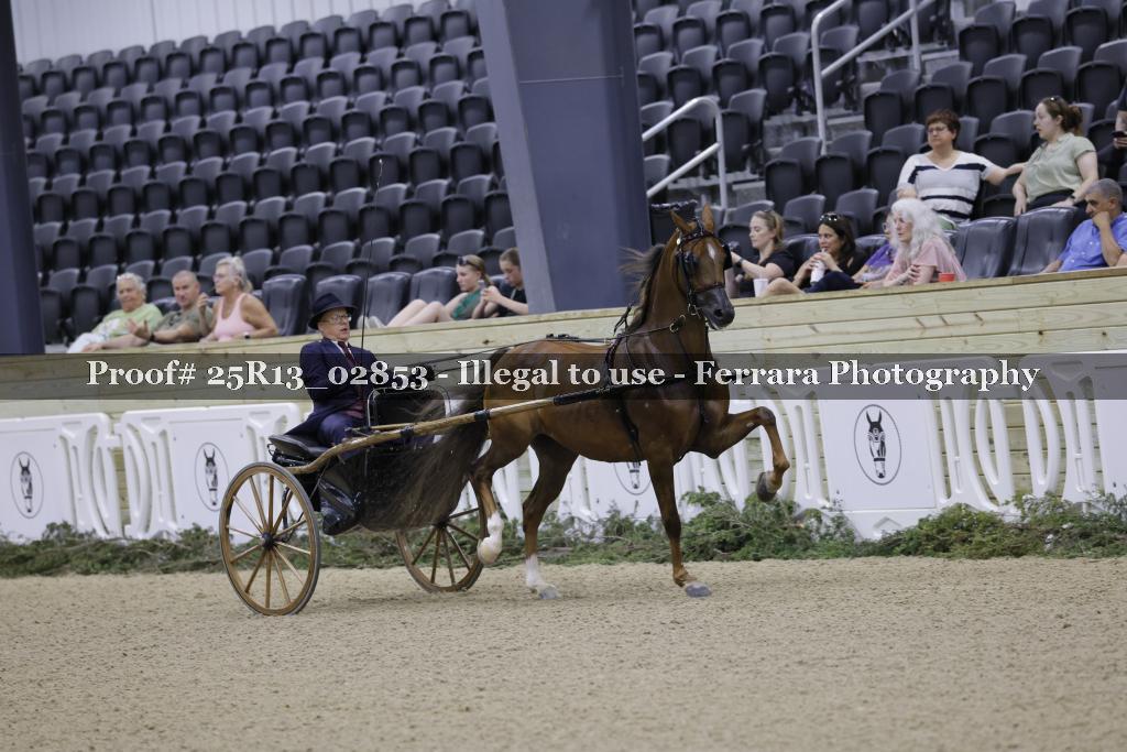 Proof Number 25R13_02853