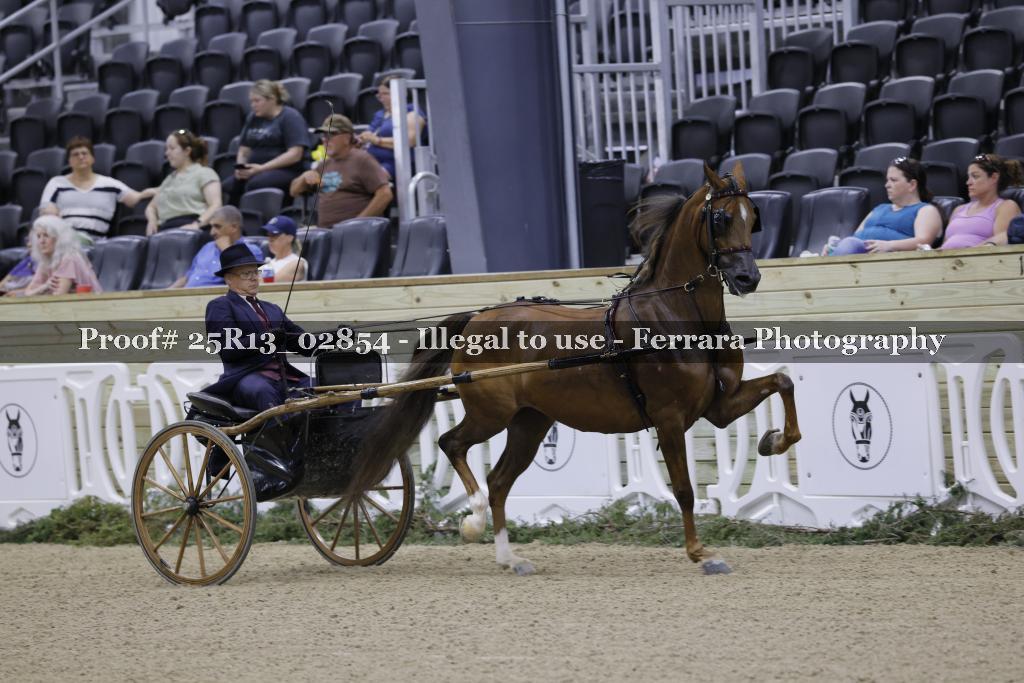 Proof Number 25R13_02854