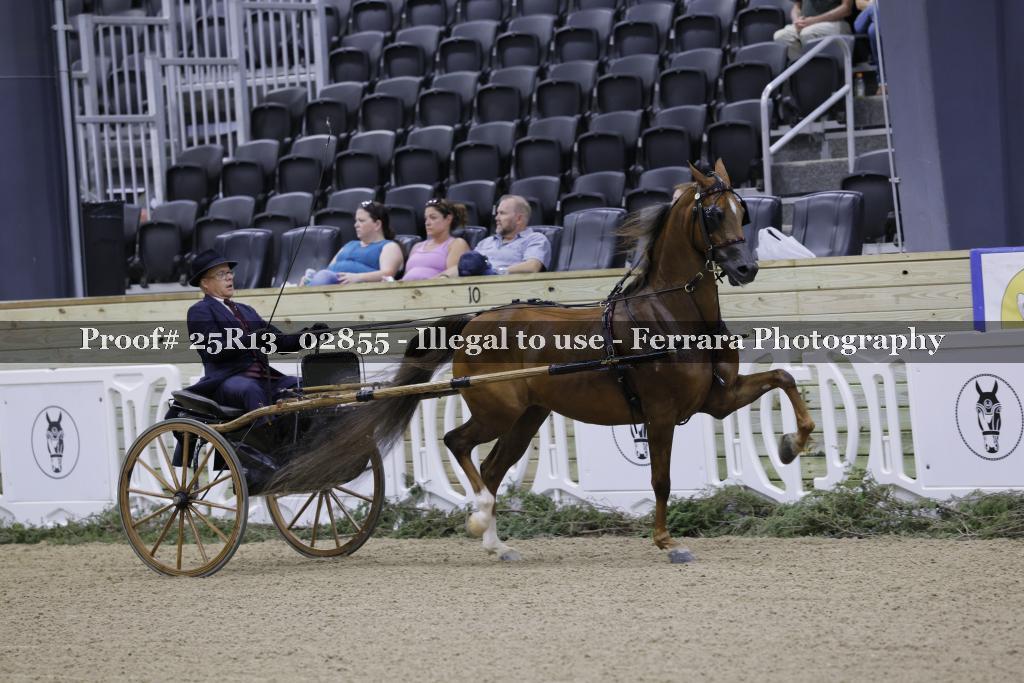 Proof Number 25R13_02855