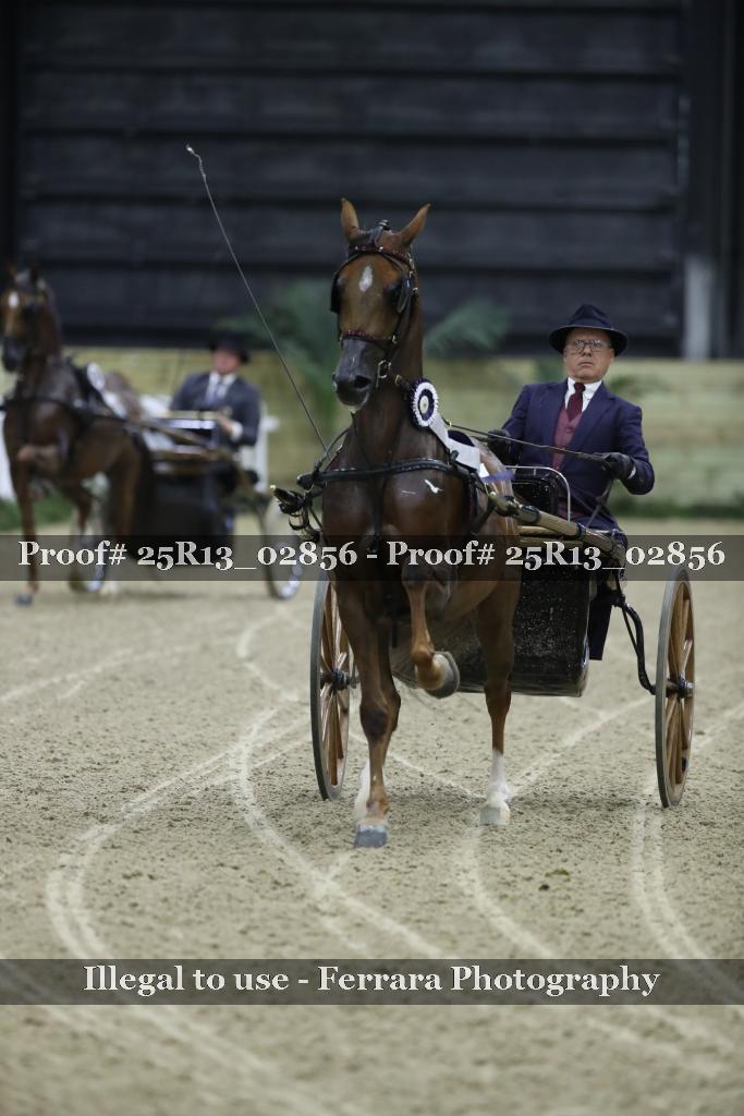 Proof Number 25R13_02856