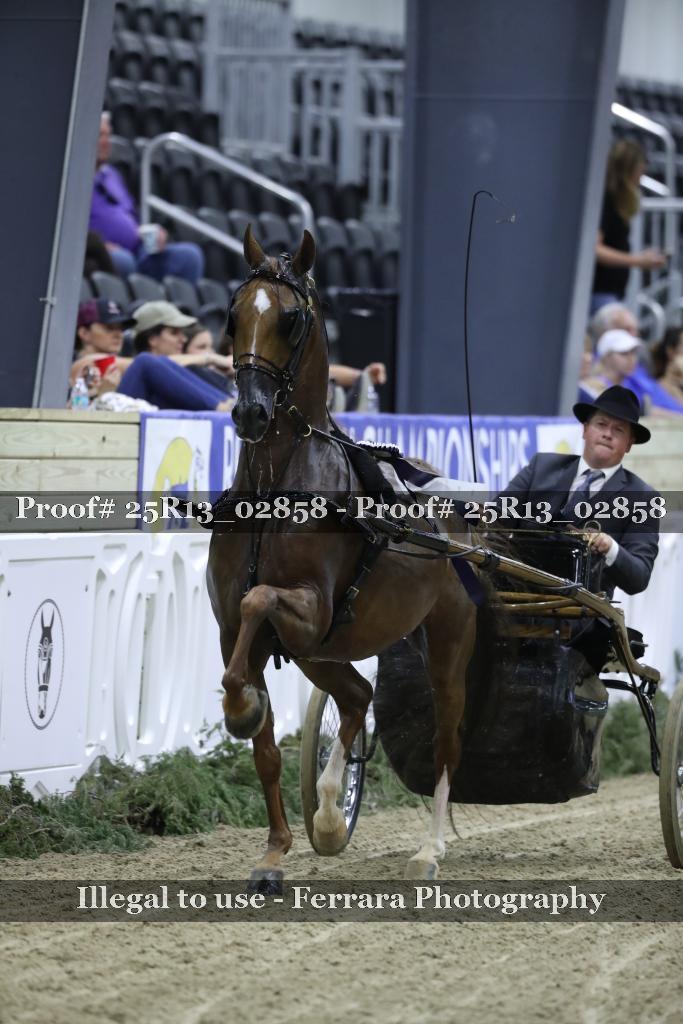 Proof Number 25R13_02858