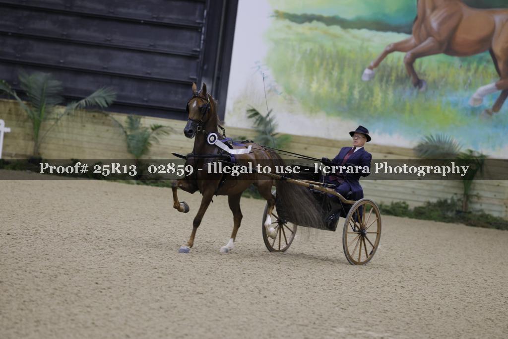Proof Number 25R13_02859