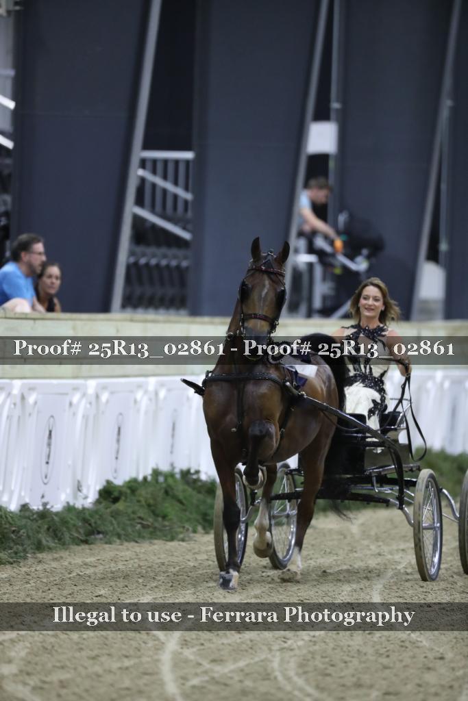 Proof Number 25R13_02861