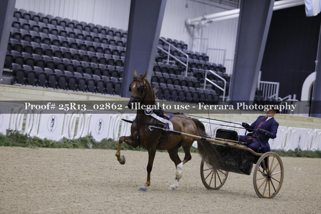 Proof Number 25R13_02862