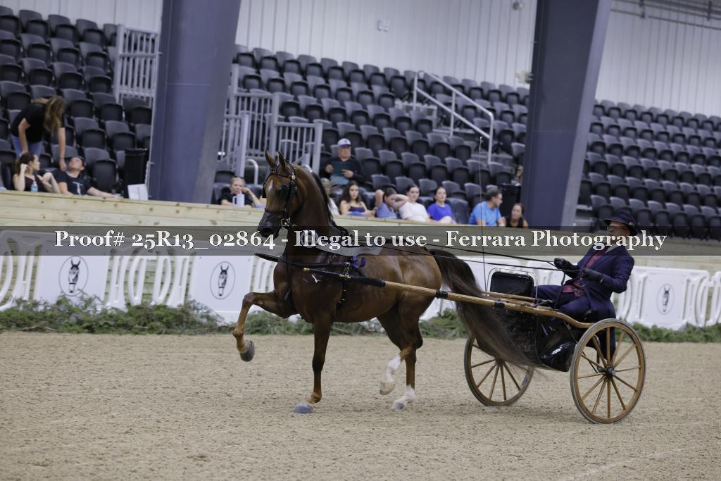 Proof Number 25R13_02864