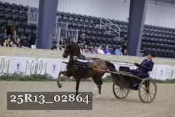 25R13_02864 thumbnail