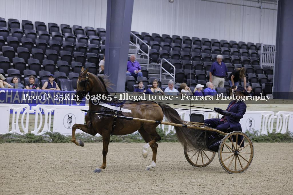 Proof Number 25R13_02865