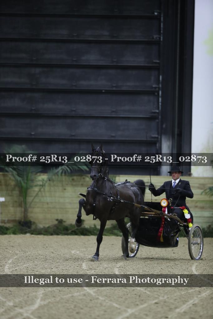 Proof Number 25R13_02873