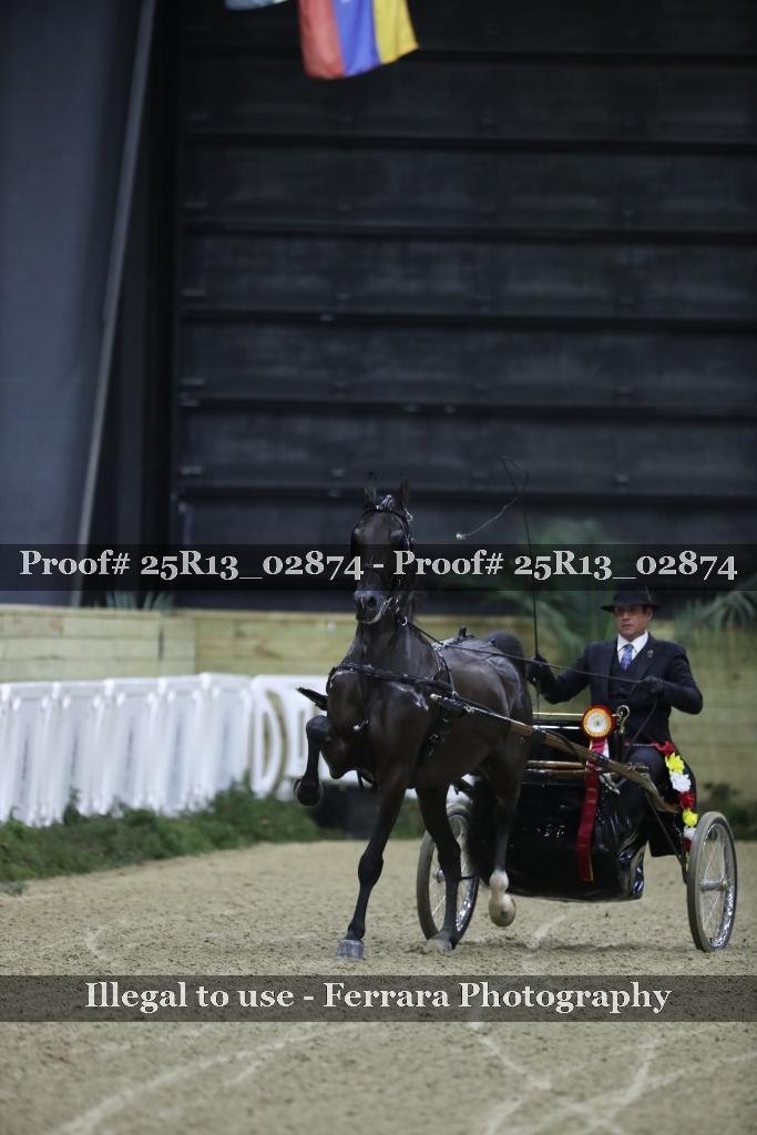 Proof Number 25R13_02874