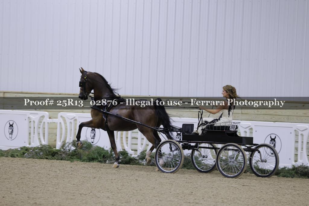 Proof Number 25R13_02876