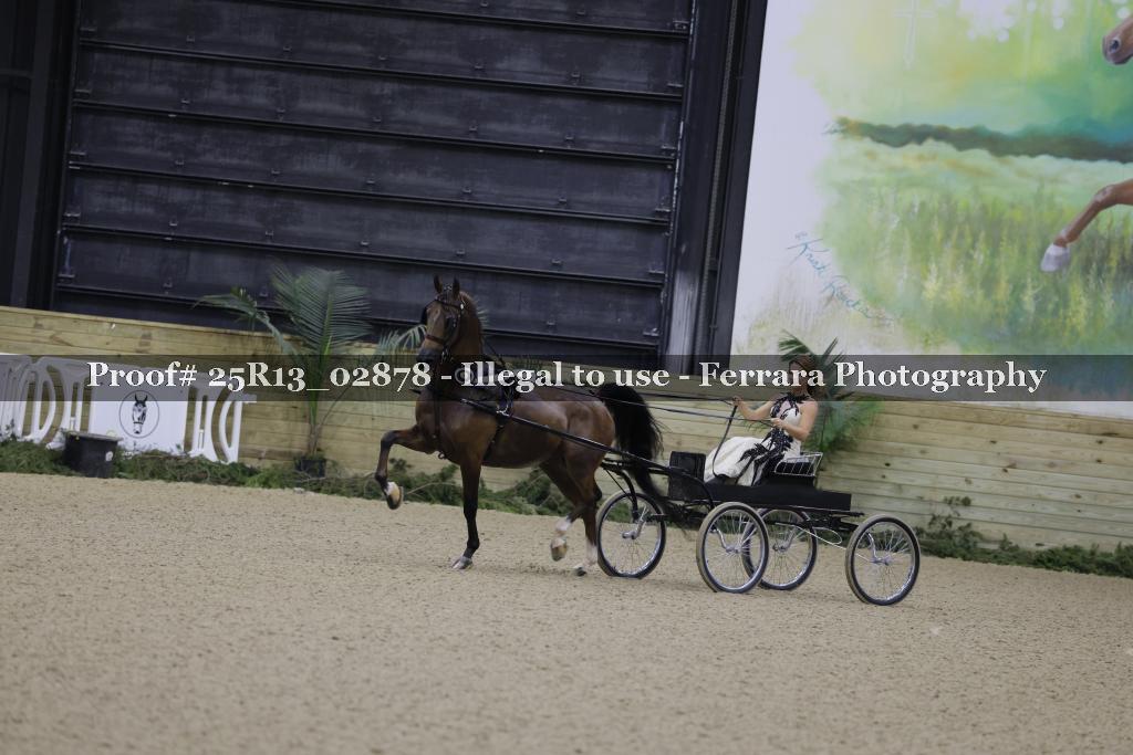 Proof Number 25R13_02878