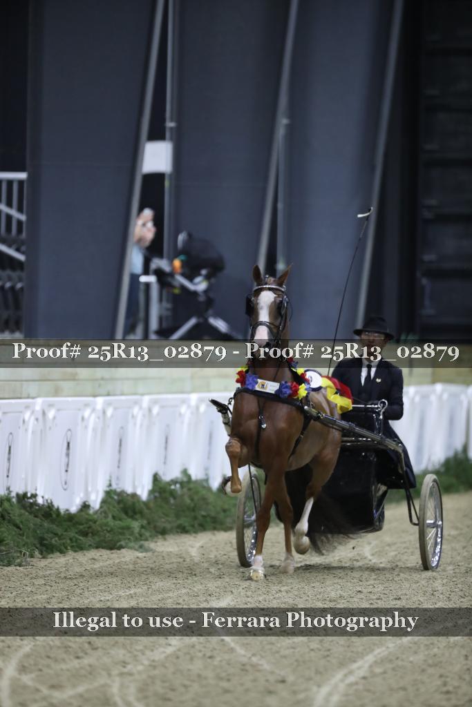 Proof Number 25R13_02879