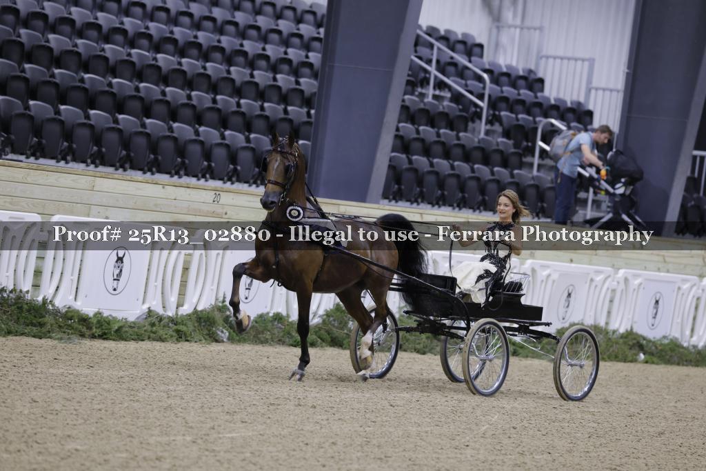 Proof Number 25R13_02880