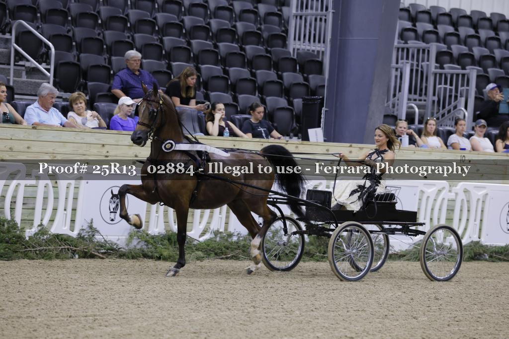 Proof Number 25R13_02884