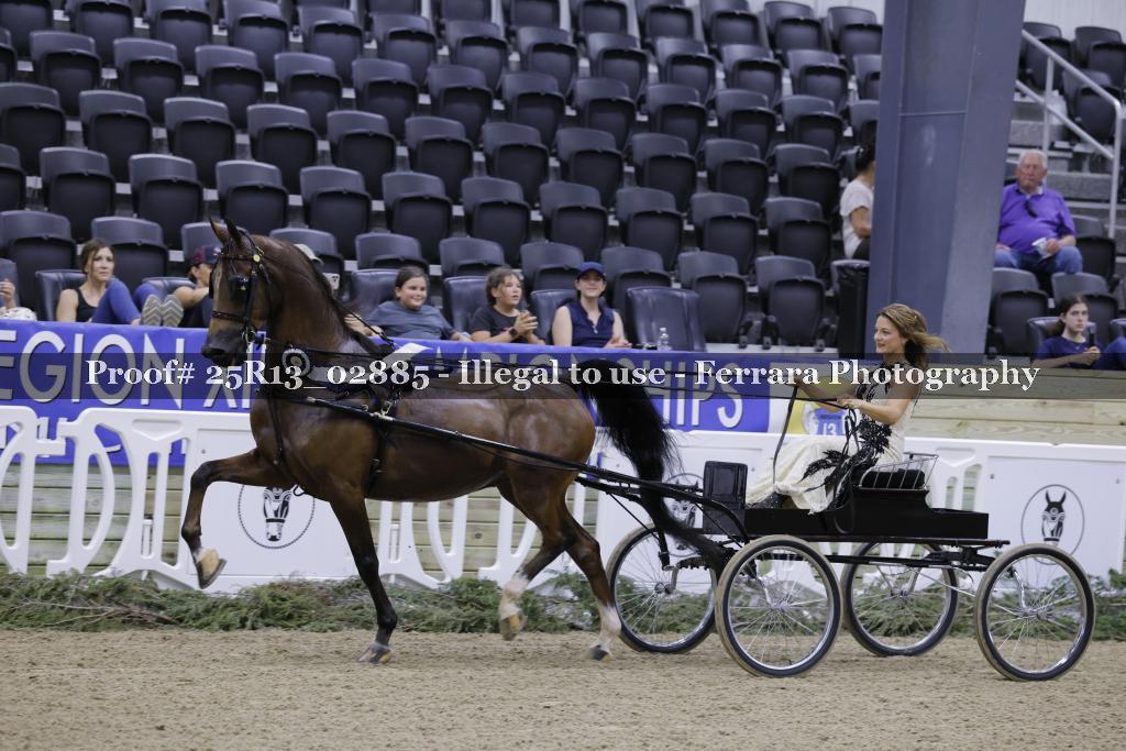 Proof Number 25R13_02885