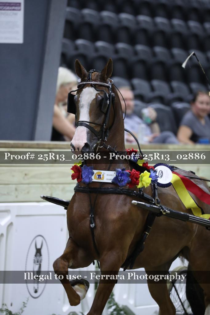 Proof Number 25R13_02886