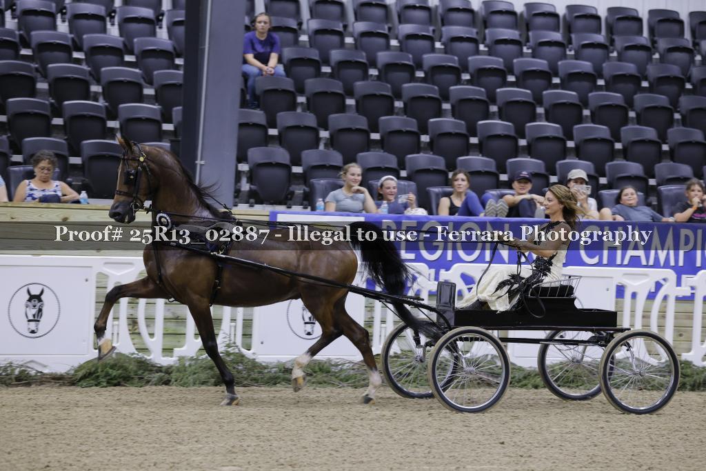 Proof Number 25R13_02887