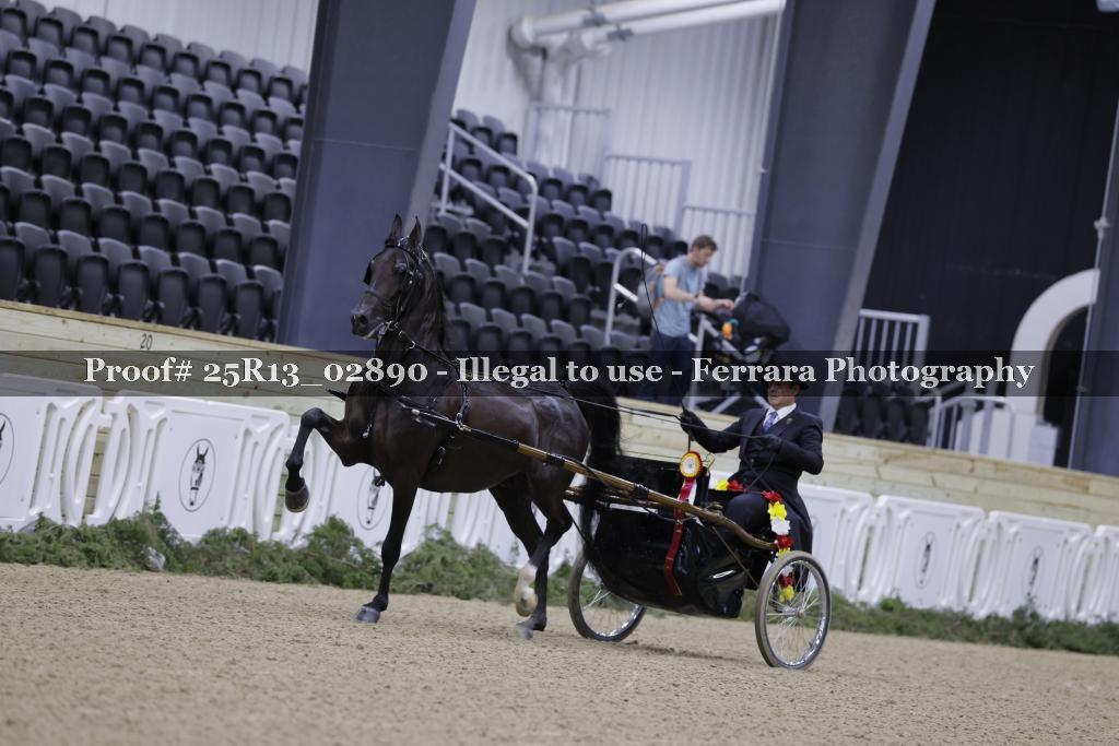Proof Number 25R13_02890