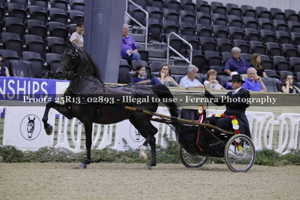Proof Number 25R13_02893
