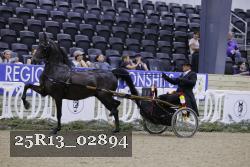 25R13_02894 thumbnail