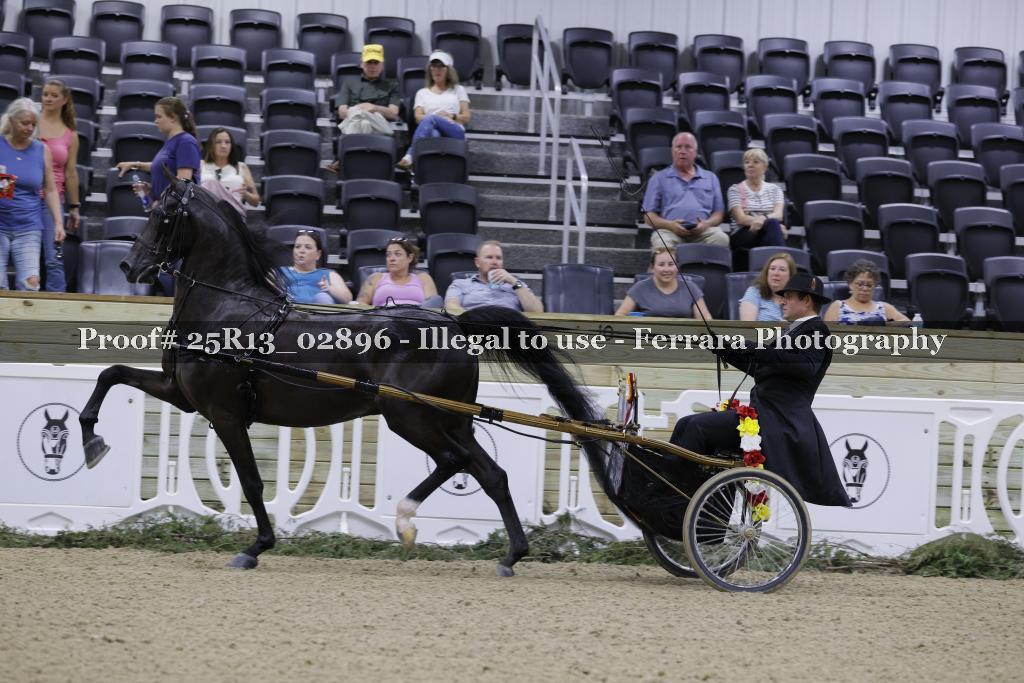 Proof Number 25R13_02896