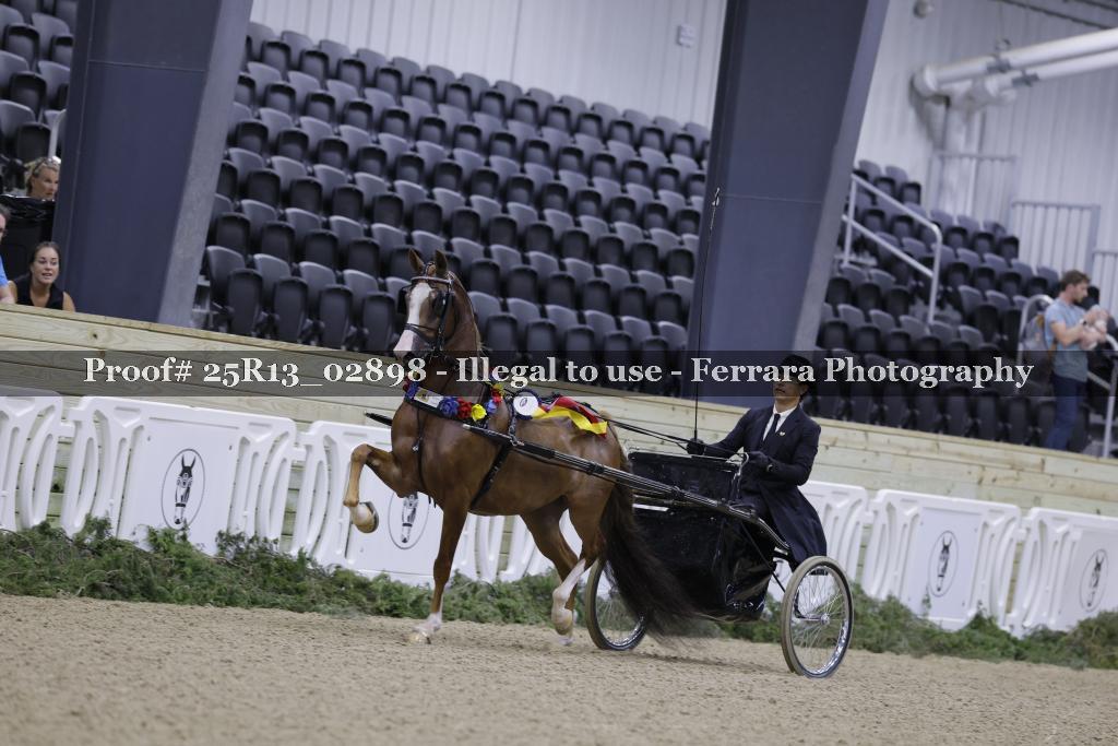 Proof Number 25R13_02898