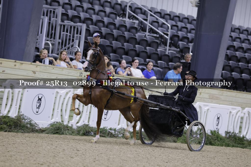 Proof Number 25R13_02899