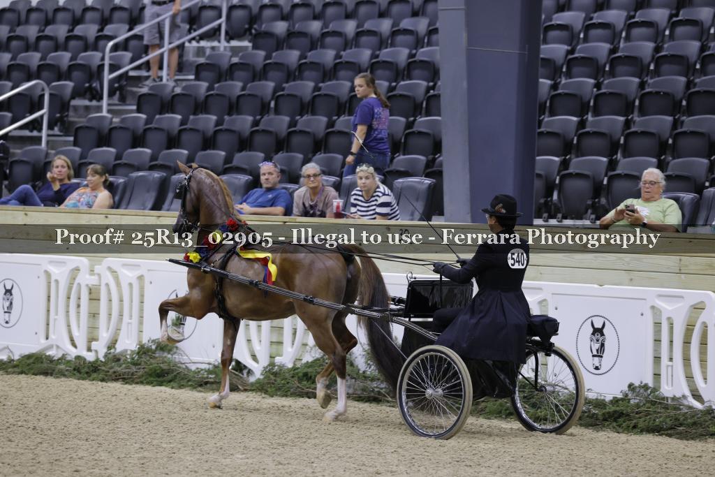 Proof Number 25R13_02905