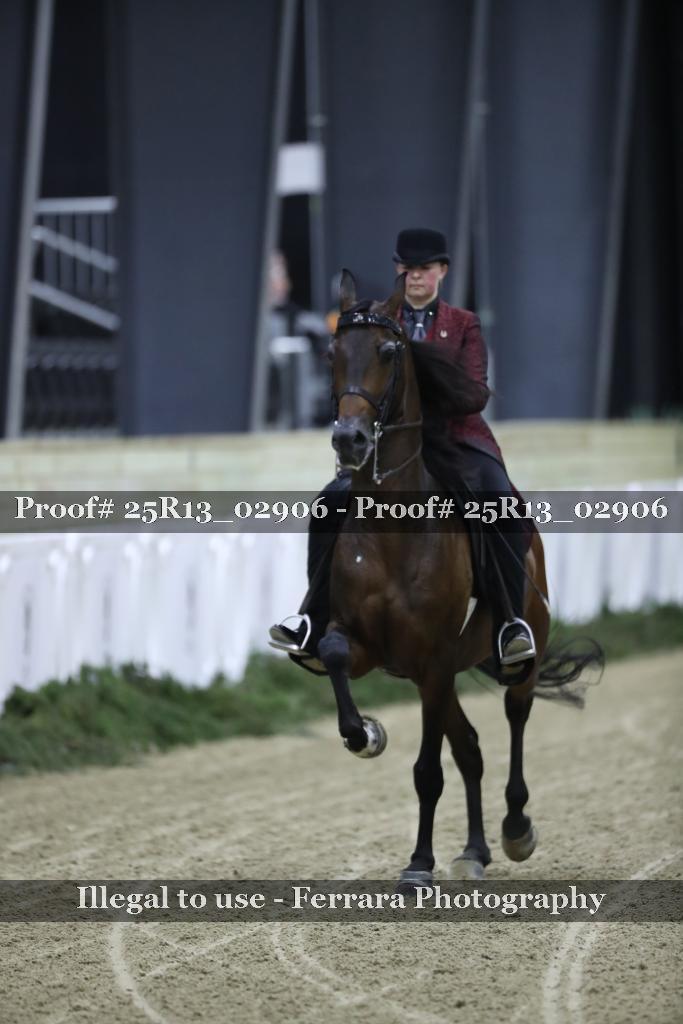 Proof Number 25R13_02906