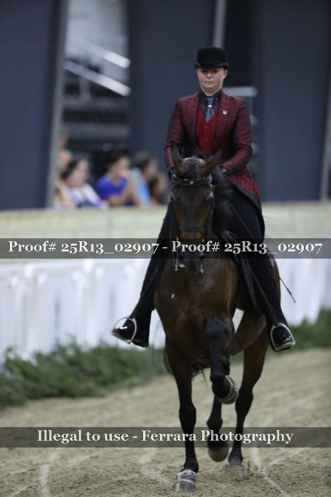 Proof Number 25R13_02907