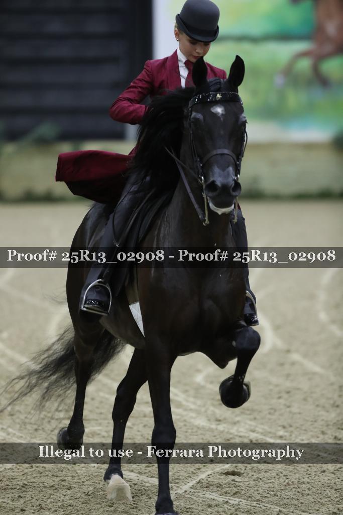 Proof Number 25R13_02908