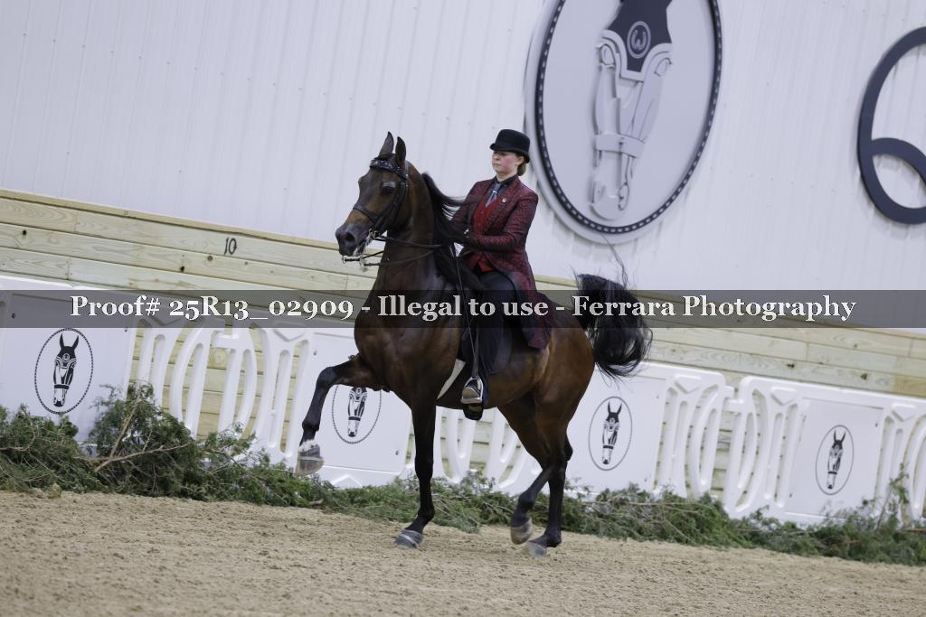 Proof Number 25R13_02909