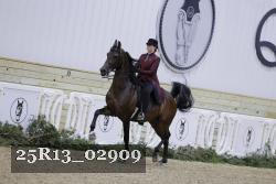 25R13_02909 thumbnail