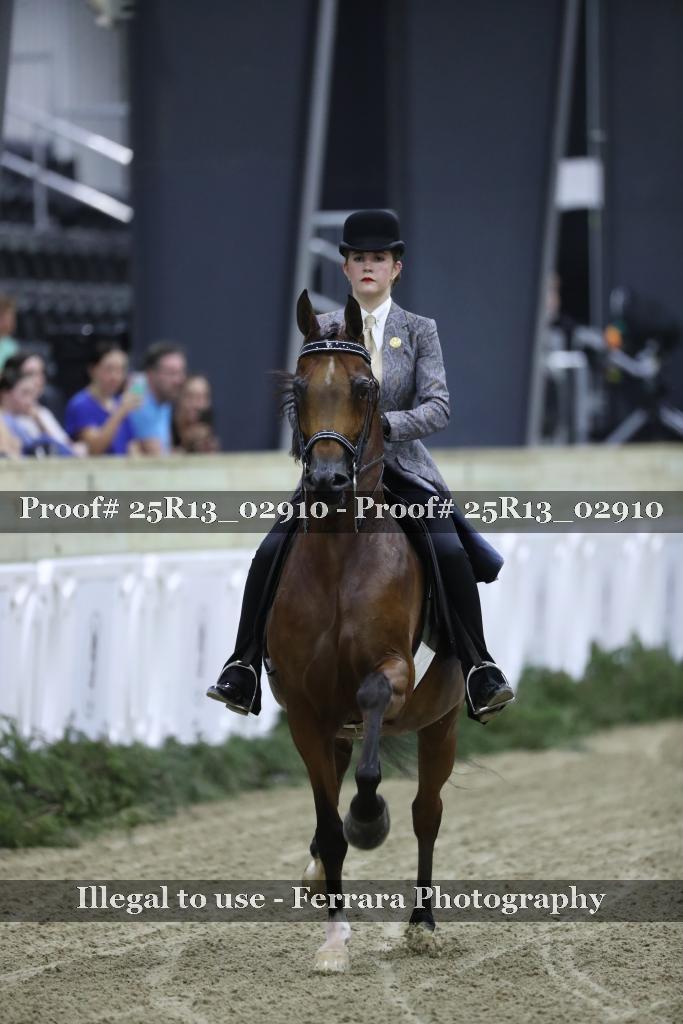 Proof Number 25R13_02910