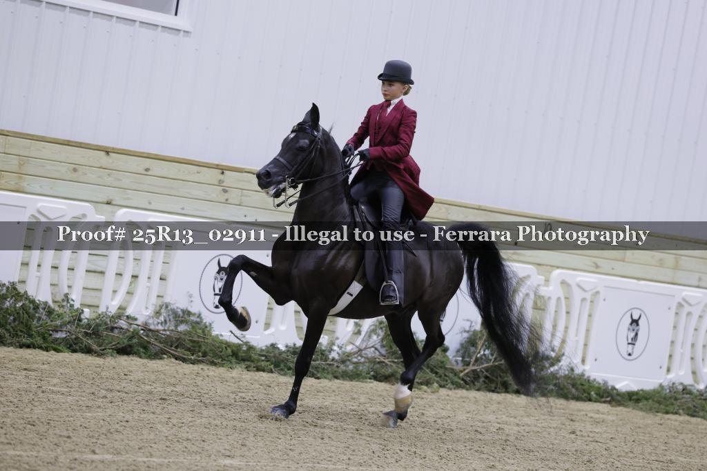 Proof Number 25R13_02911