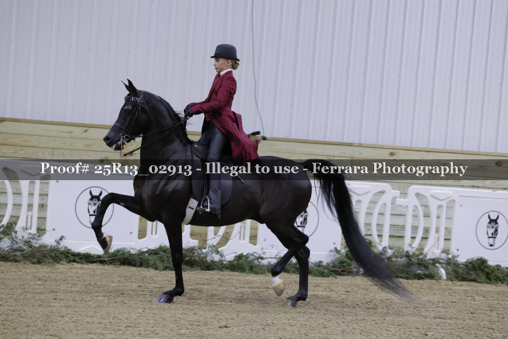 Proof Number 25R13_02913