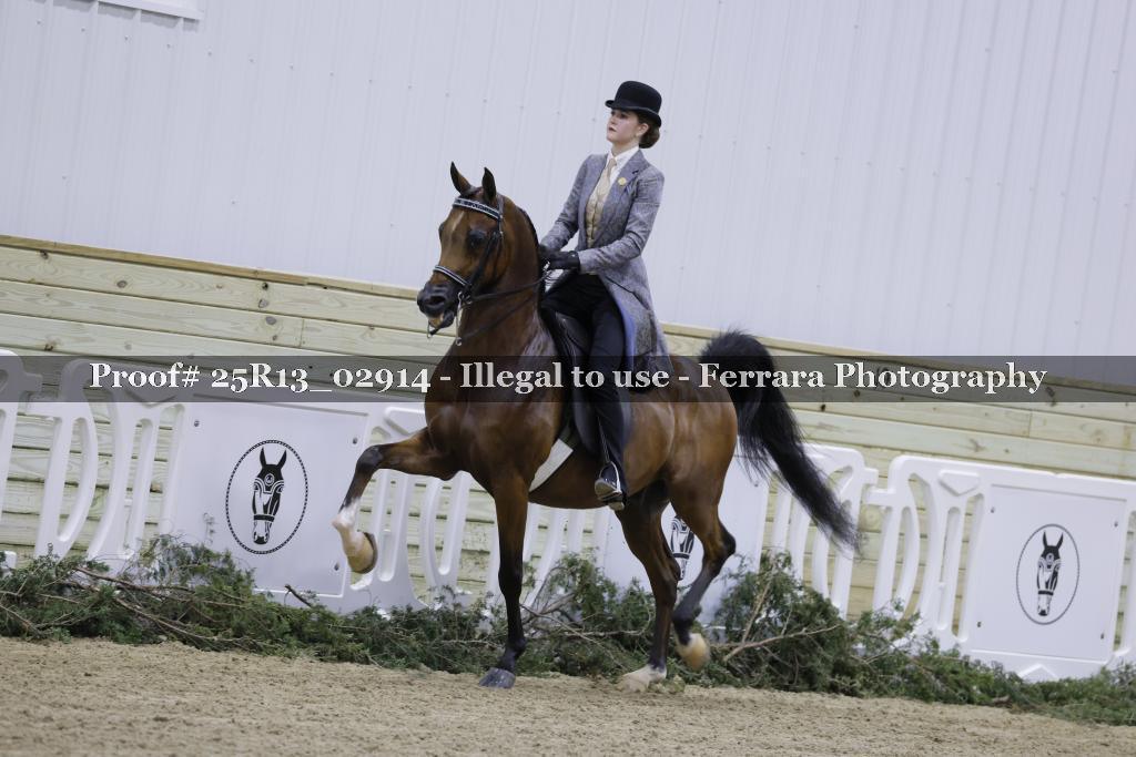 Proof Number 25R13_02914