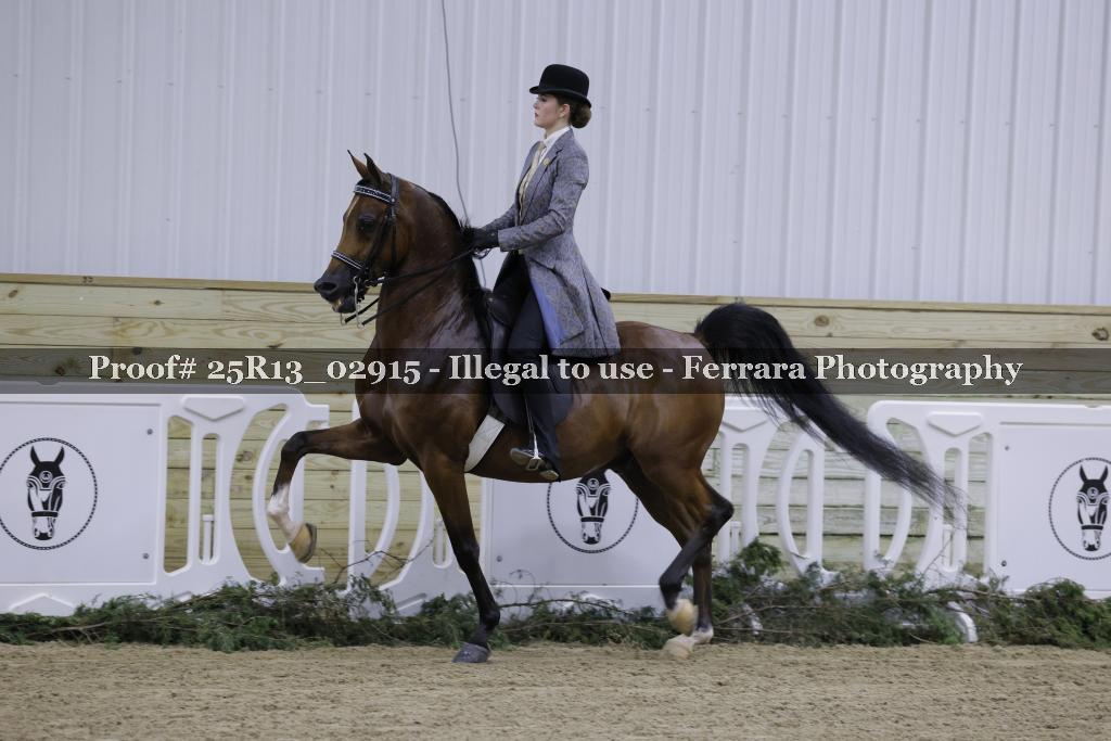 Proof Number 25R13_02915