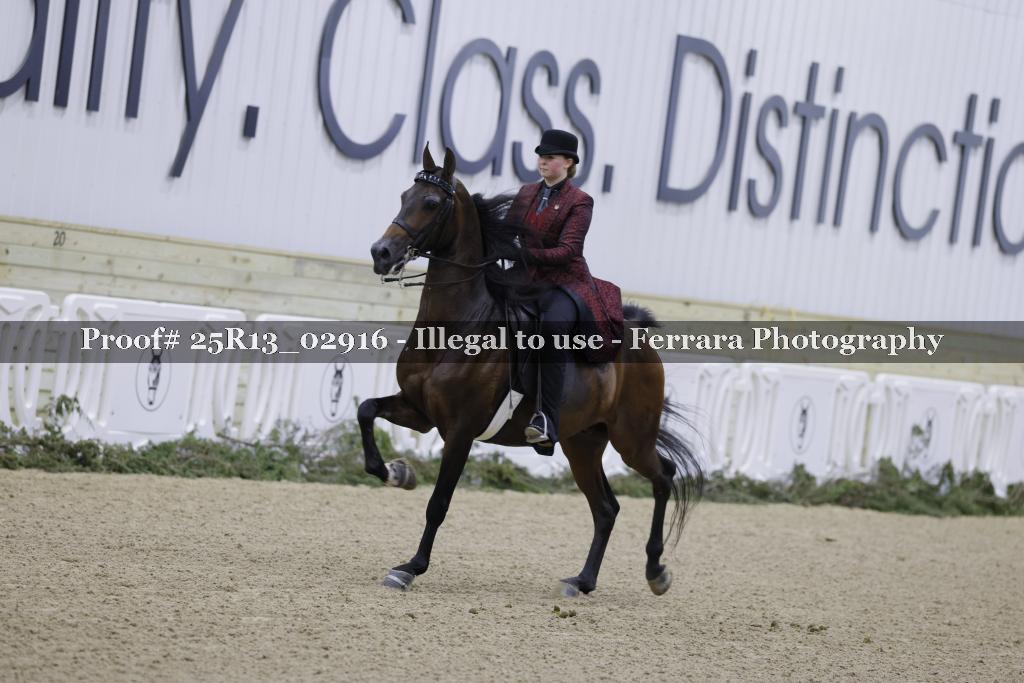 Proof Number 25R13_02916