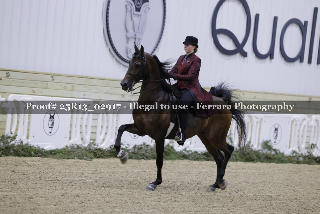 Proof Number 25R13_02917