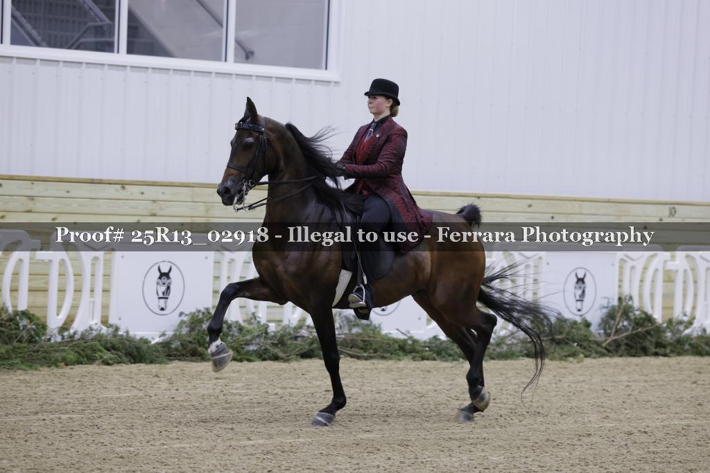 Proof Number 25R13_02918