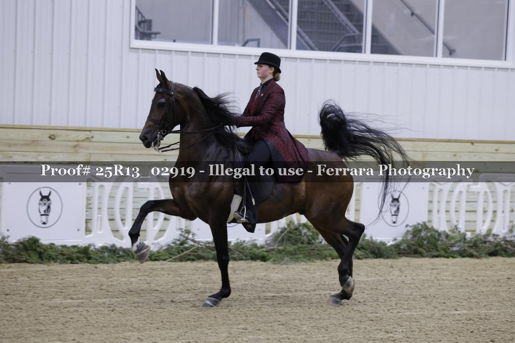 Proof Number 25R13_02919